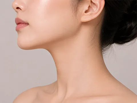턱-목 경계 라인